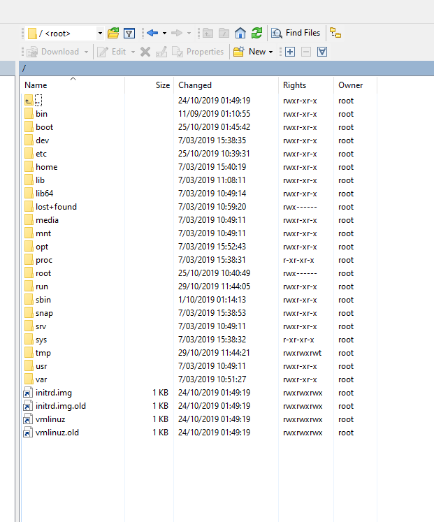 Explorador remoto WinSCP